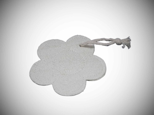 LAK006 Loofah kwiat.jpg