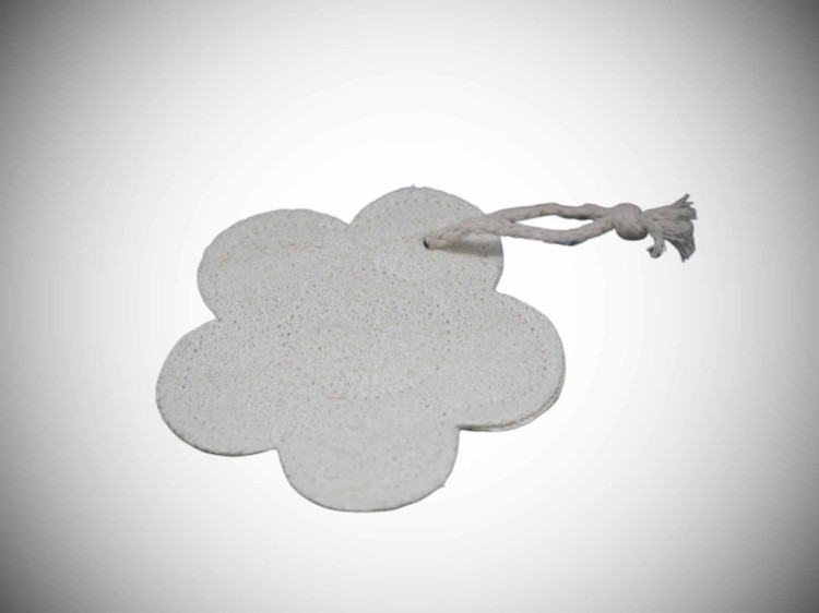 LAK006 Loofah kwiat.jpg