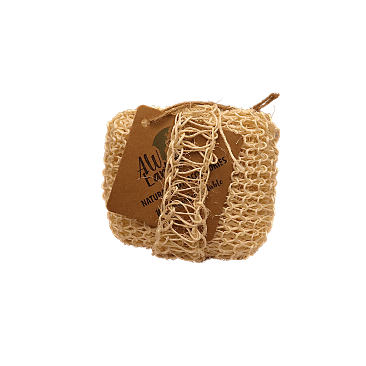 gąbka sizal prostokąt (2).png