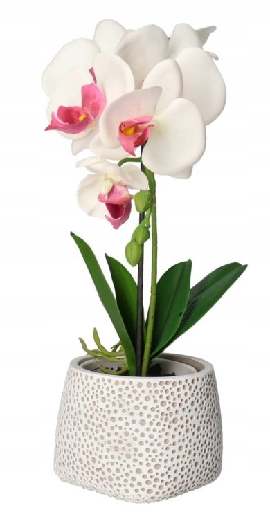Ceramiczna osłonka do doniczek biała w kropki, doniczka do kwiatów