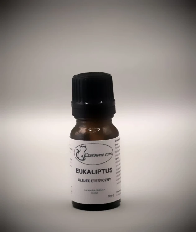 Eukaliptus.jpg