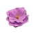 Fioletowa-peonia-mydlana.png