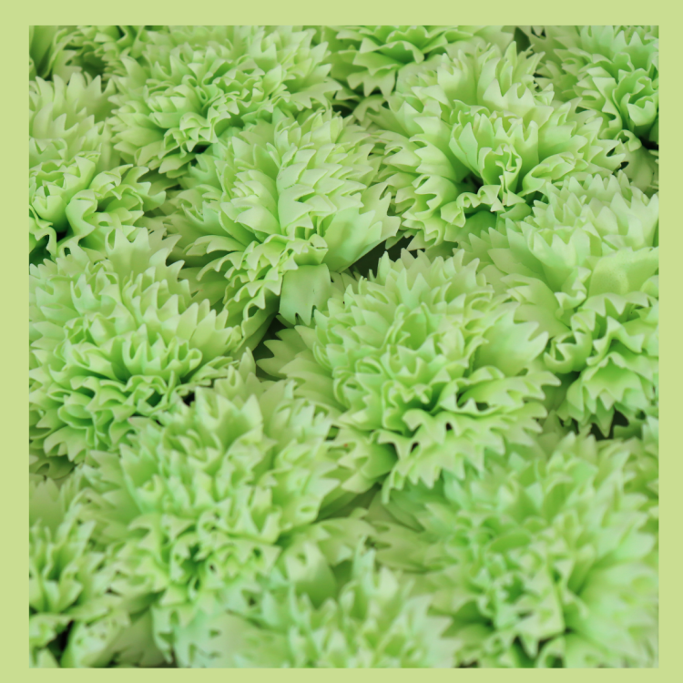 Zielony goździk  mydlany1.png