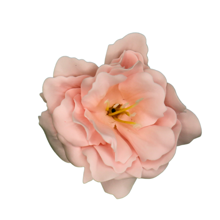 Różowa peonia mydlana1.png