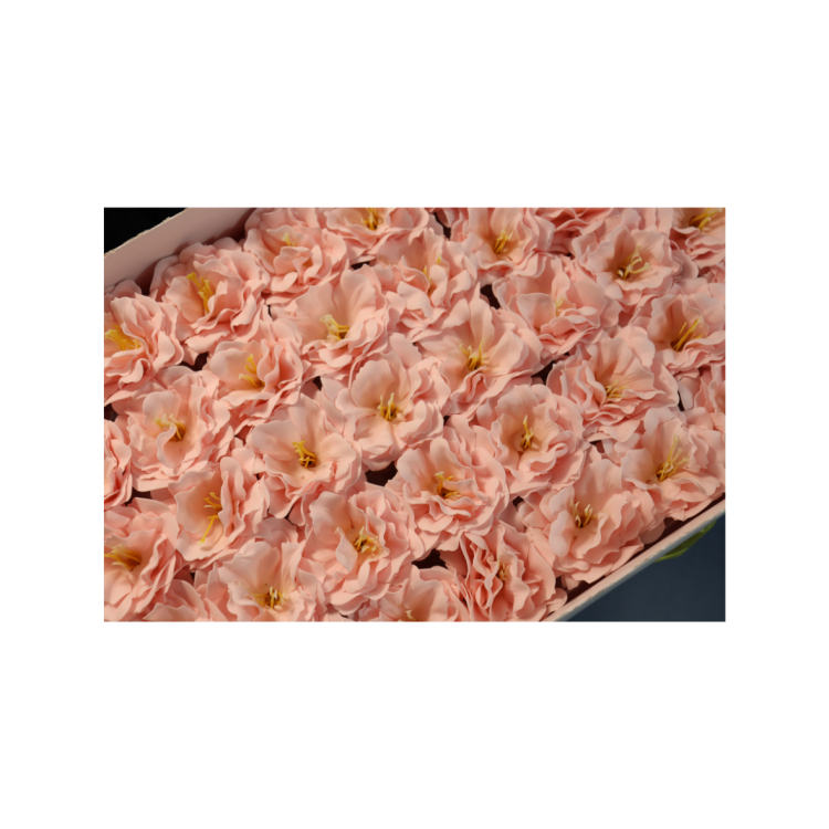 Różowa peonia mydlana2.png