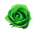 Zielona róża mydlana1.png