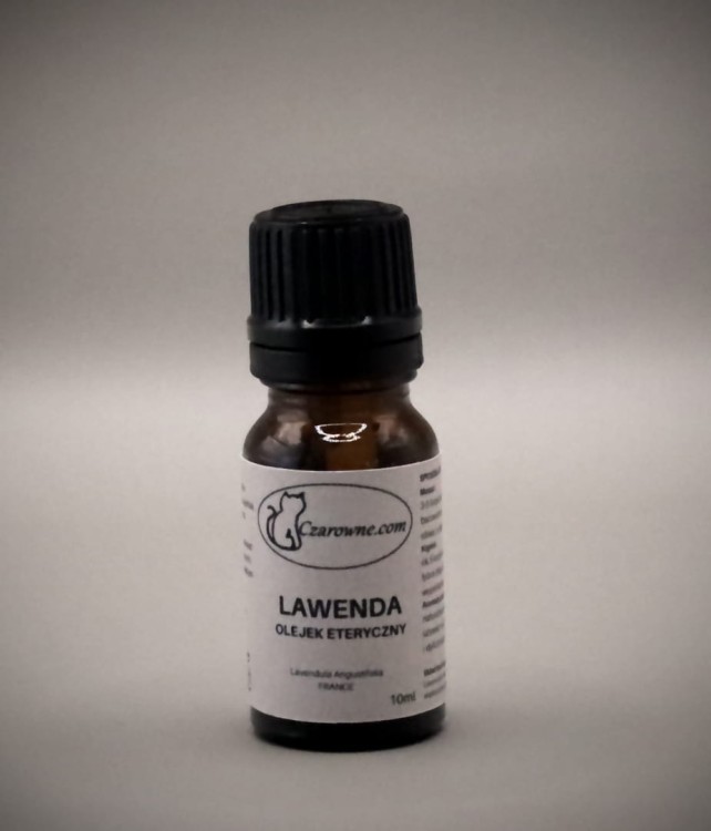 Lawenda_got.jpg